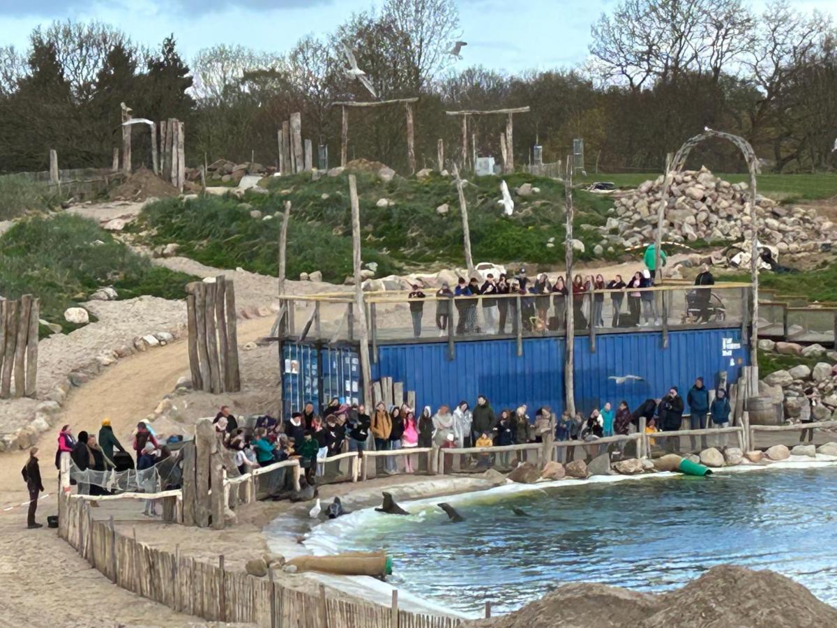 Kuestenbude Robbe Grömitz Exterior foto